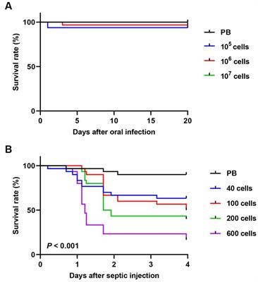 Alteration of lipopolysaccharide O antigen leads to avirulence of gut-colonizing Serratia marcescens